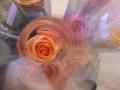 DSCF0349.JPG